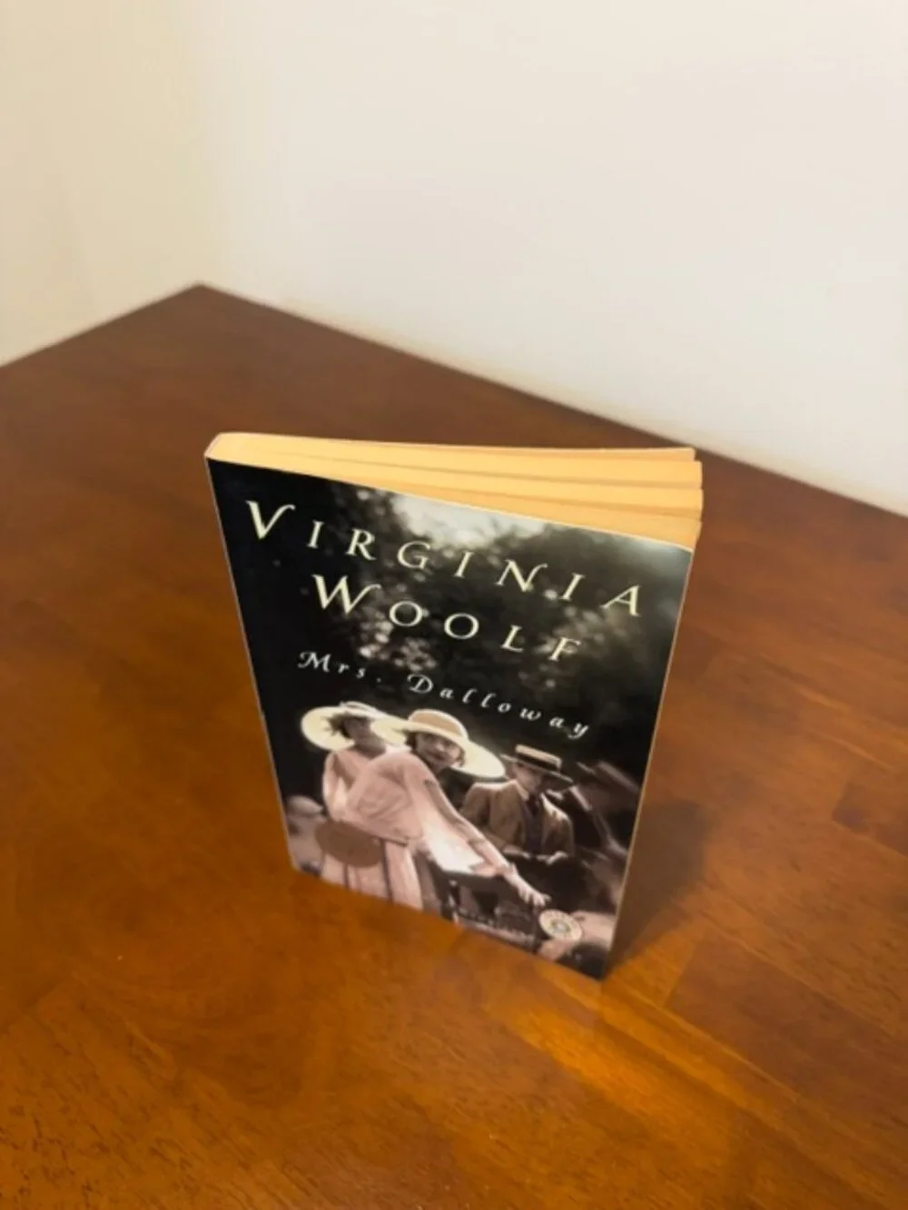 Virginia Wolf Mrs. Dalloway Vintage Book